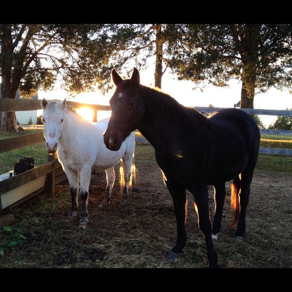 Offers appreciated - Picture 3 of 5